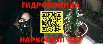 spice Лесосибирск