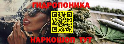 spice Лесосибирск