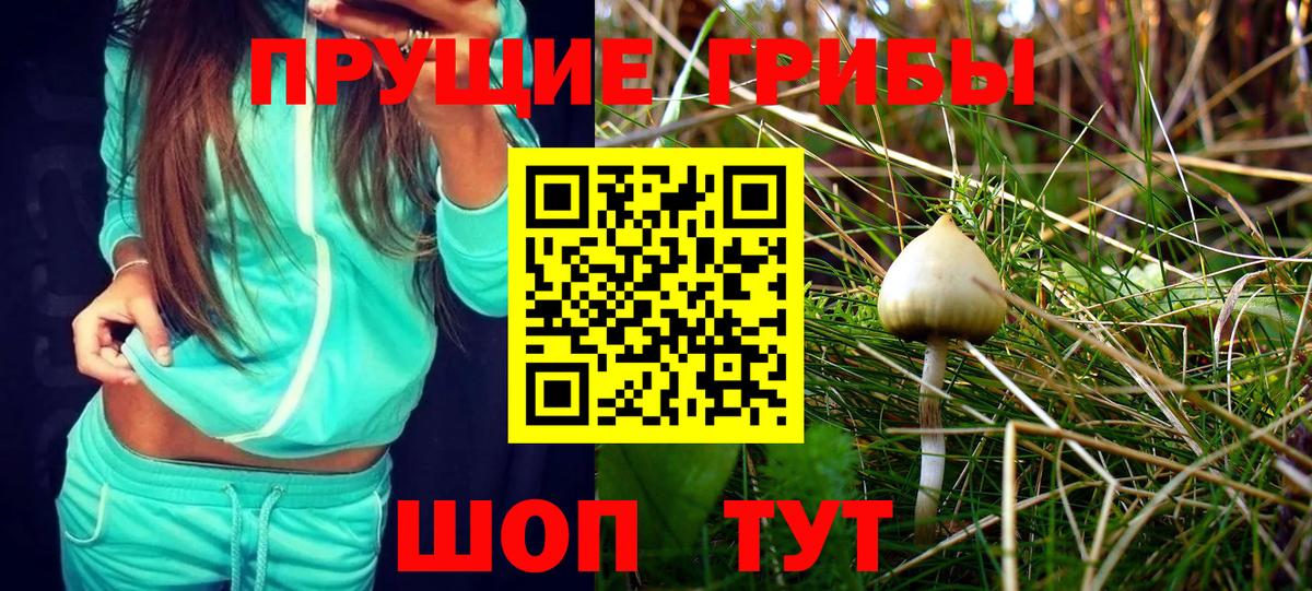 Псилоцибиновые грибы Cubensis  Вход с VPN  Вязники 