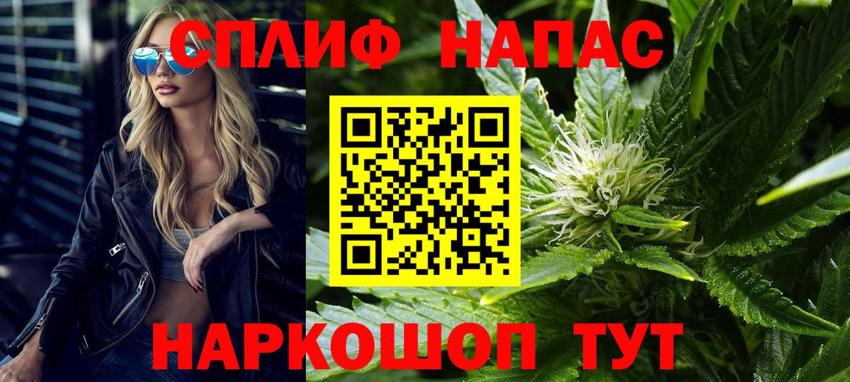 Вязники  МАРИХУАНА план  Вход с VPN  Каннабис семена  Каннабис MAZAR 